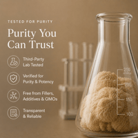 Lion's Mane Mushroom Extract Powder - Mushroom Extract - Ancient Extracts