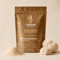 Lion's Mane Mushroom Extract Powder - Mushroom Extract - Ancient Extracts