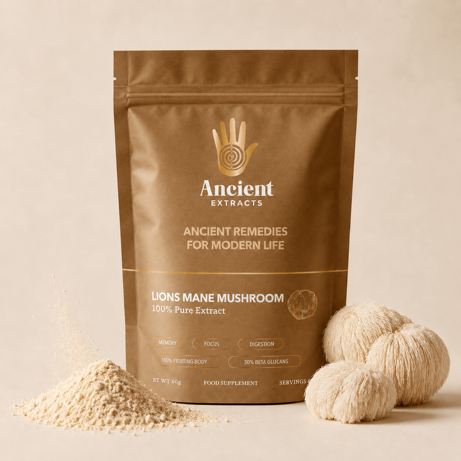 Lion's Mane Mushroom Extract Powder