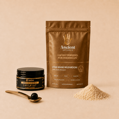 Digestive Reset Stack - Lion's Mane and Shilajit Resin - Ancient Extracts