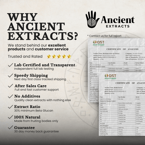 Mindful Pair Lions Mane & Reishi Extracts - 30% Beta Glucans (60g each) - Mushroom Extract - Ancient Extracts