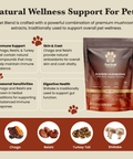 Image of Ancient Extracts Pet Blend packaging with mushroom ingredients (Chaga, Reishi, Turkey Tail, Shiitake) and informational text about immune support and digestive health for pets.