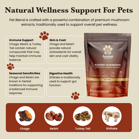 Image of Ancient Extracts Pet Blend packaging with mushroom ingredients (Chaga, Reishi, Turkey Tail, Shiitake) and informational text about immune support and digestive health for pets.