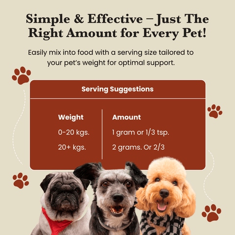 Mushroom Blend - Veterinarian formulated pet supplement for Dogs and Cats - Mushroom Extract - Ancient Extracts