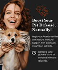 Mushroom Blend - Veterinarian formulated pet supplement for Dogs and Cats - Mushroom Extract - Ancient Extracts