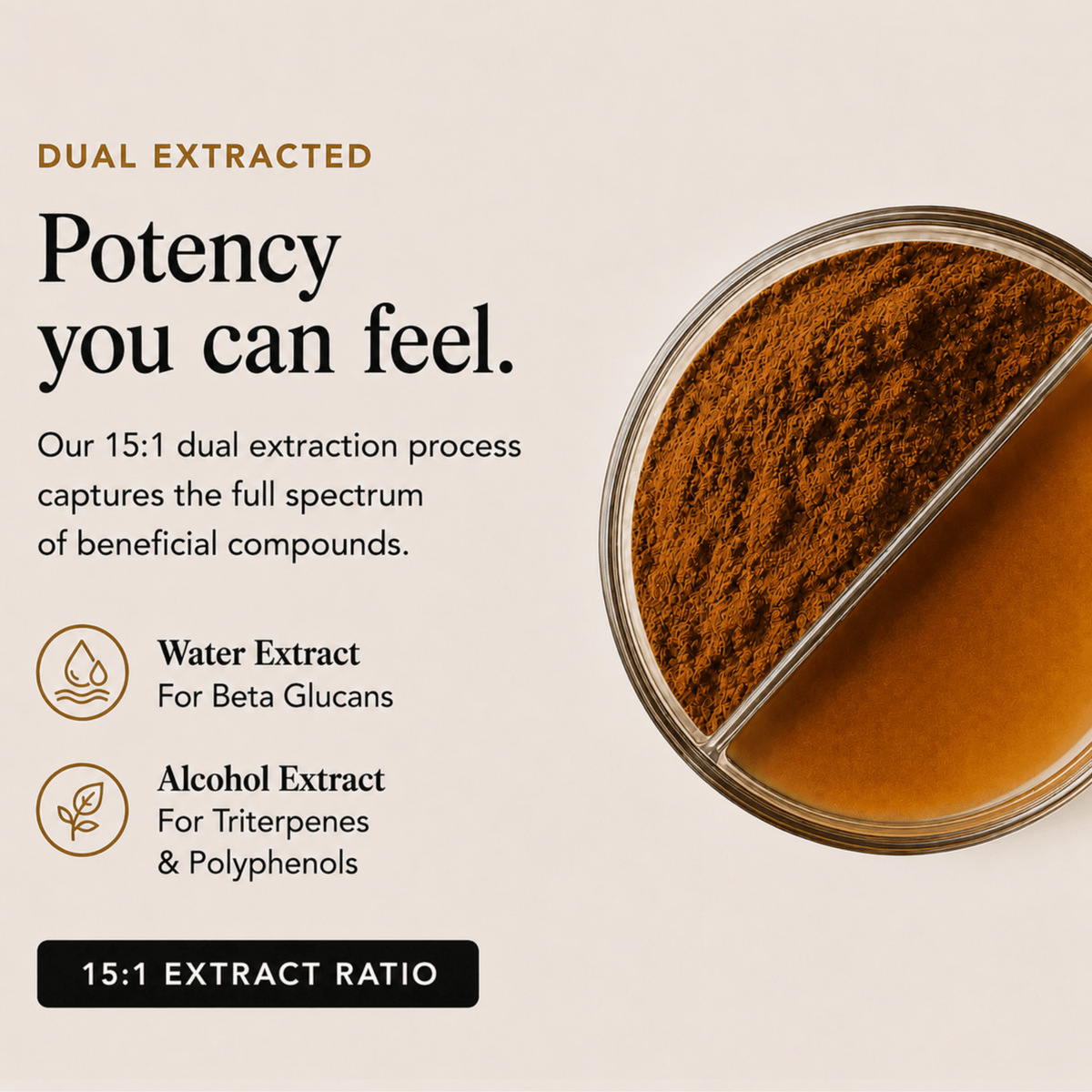 Energy Pair Cordyceps & Chaga Extracts (Copy) - Ancient Extracts
