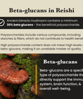 Image of Reishi mushrooms with educational text about beta-glucans and their health benefits, emphasizing their immune-boosting properties – Ancient Extracts