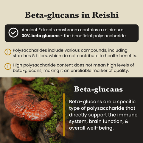 Image of Reishi mushrooms with educational text about beta-glucans and their health benefits, emphasizing their immune-boosting properties – Ancient Extracts