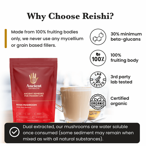 Detox Pair - Raw Shilajit Resin and Reishi Mushroom Extract - Ancient Extracts