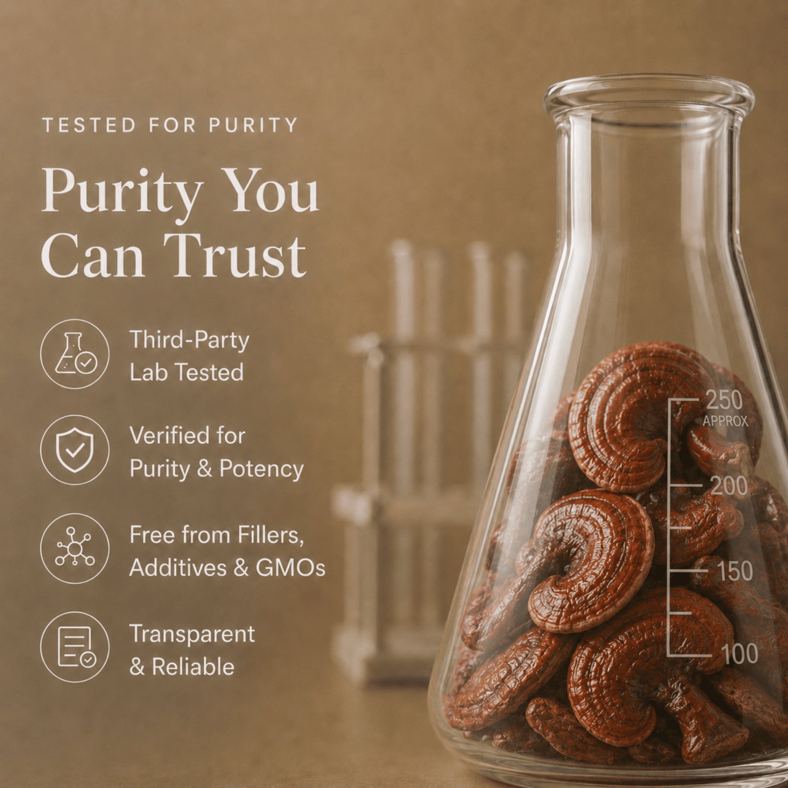 Reishi Mushroom Extract Powder - Mushroom Extract - Ancient Extracts
