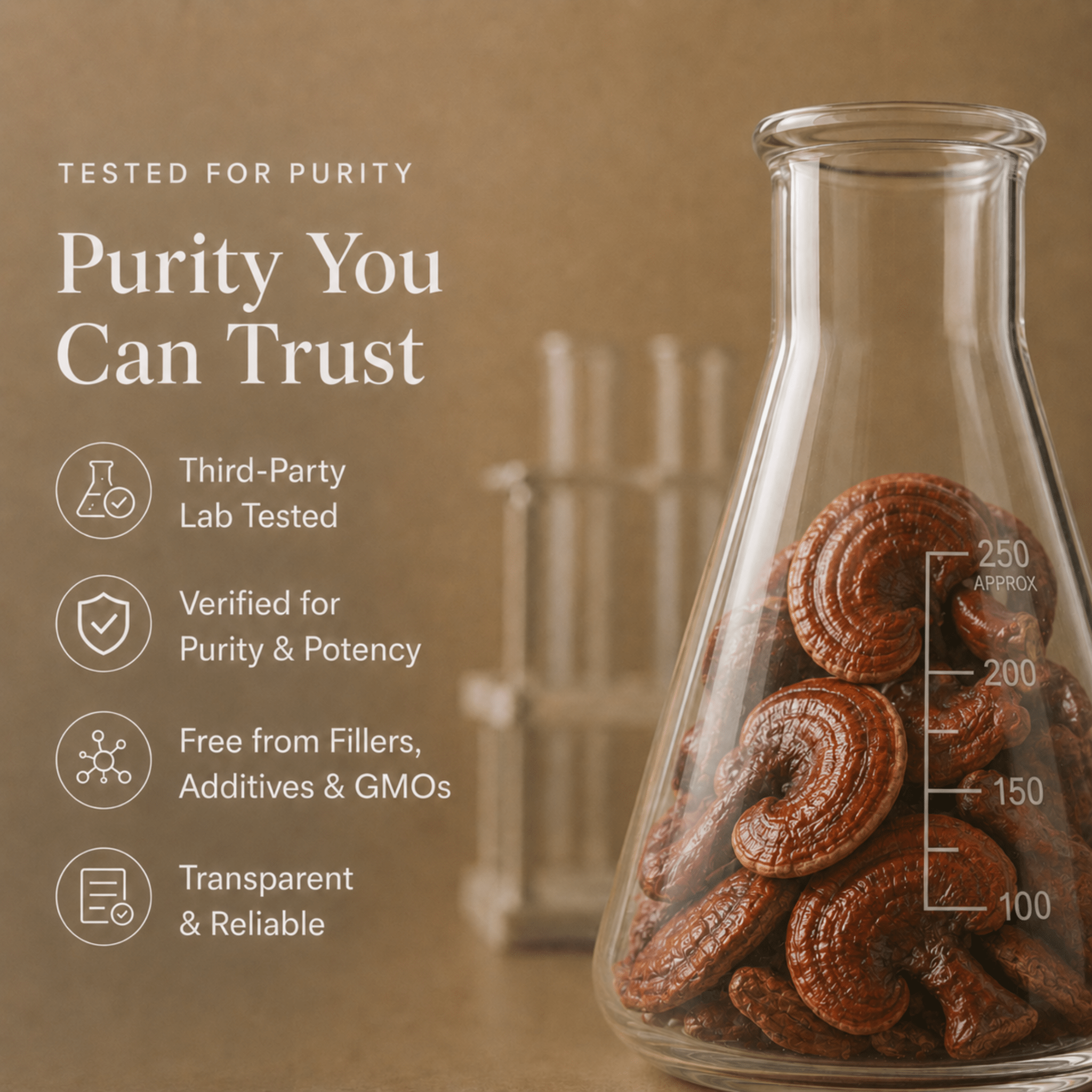Reishi Mushroom Extract Powder - Mushroom Extract - Ancient Extracts