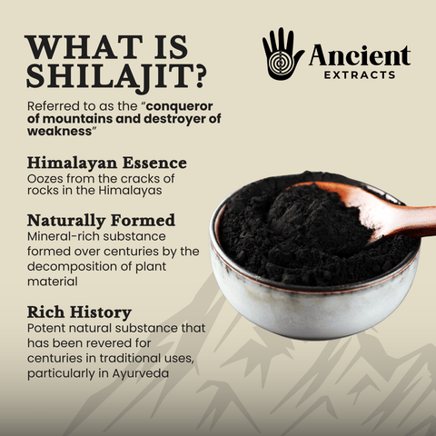 Shilajit Powder Ancient Extracts
