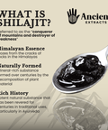 Shilajit Powder