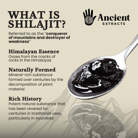 Shilajit Powder