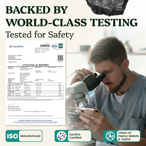 Shilajit Powder - Himalayan Gold Grade (50g) - Ancient Extracts