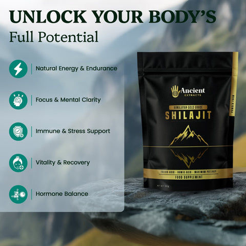 Shilajit Powder - Himalayan Gold Grade (50g) - Ancient Extracts