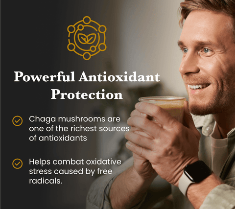 Beauty Pair Tremella & Chaga Mushroom Extracts (60g each) + Free Mixer - Mushroom Extract - Ancient Extracts