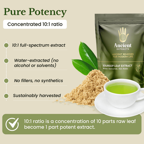 Soursop Leaf Extract - South American Graviola (60g) - Ancient Extracts