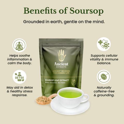 Soursop Leaf Extract - South American Graviola (60g) - Ancient Extracts