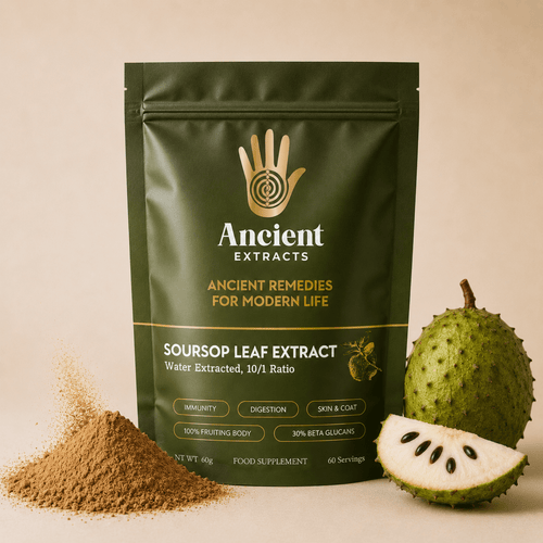 Soursop Graviola Leaf Extract - Ancient Extracts