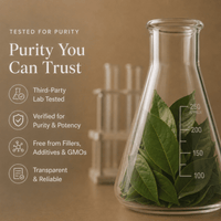 Soursop Graviola Leaf Extract - Ancient Extracts