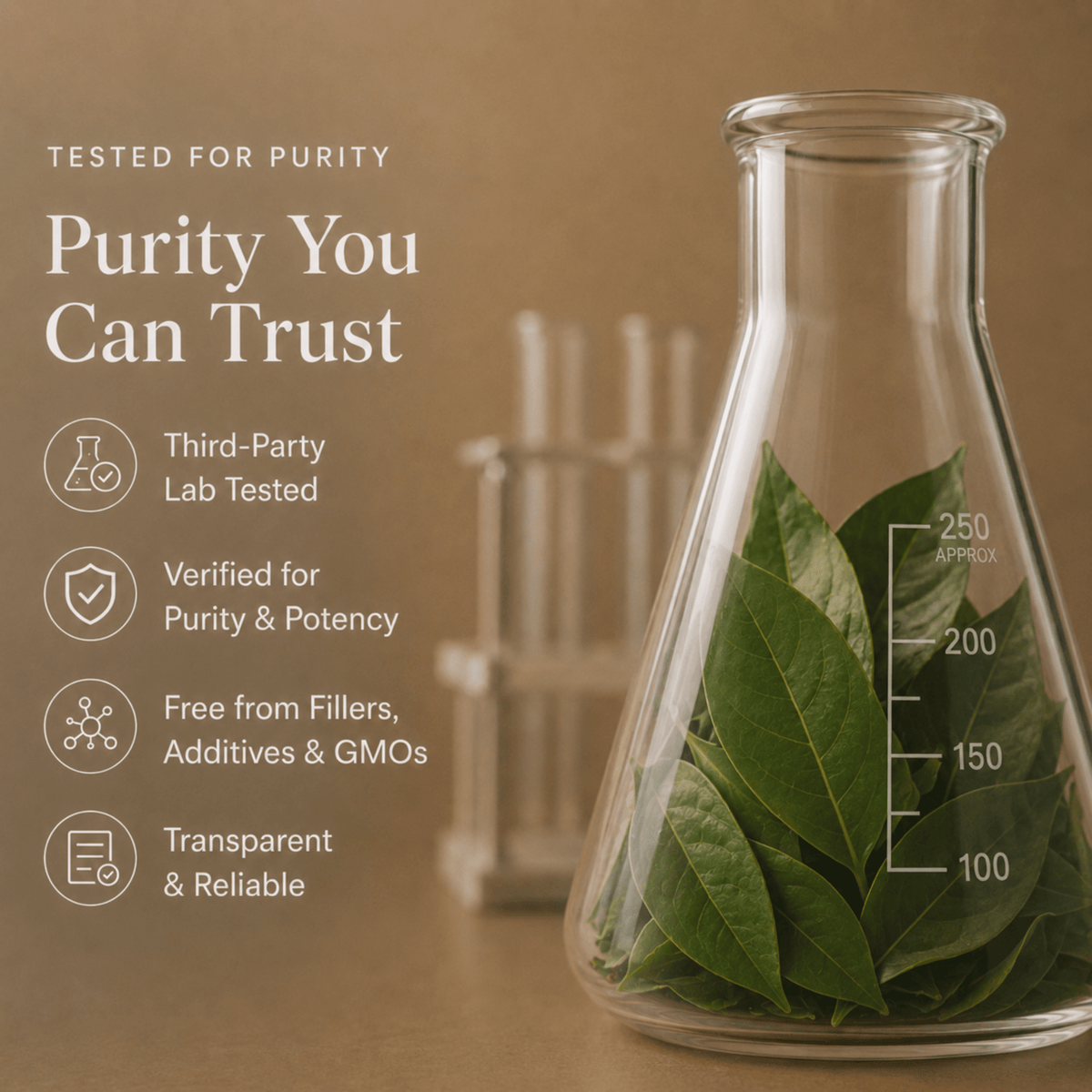 Soursop Graviola Leaf Extract - Ancient Extracts