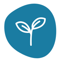 Traditionally Used Mushroom