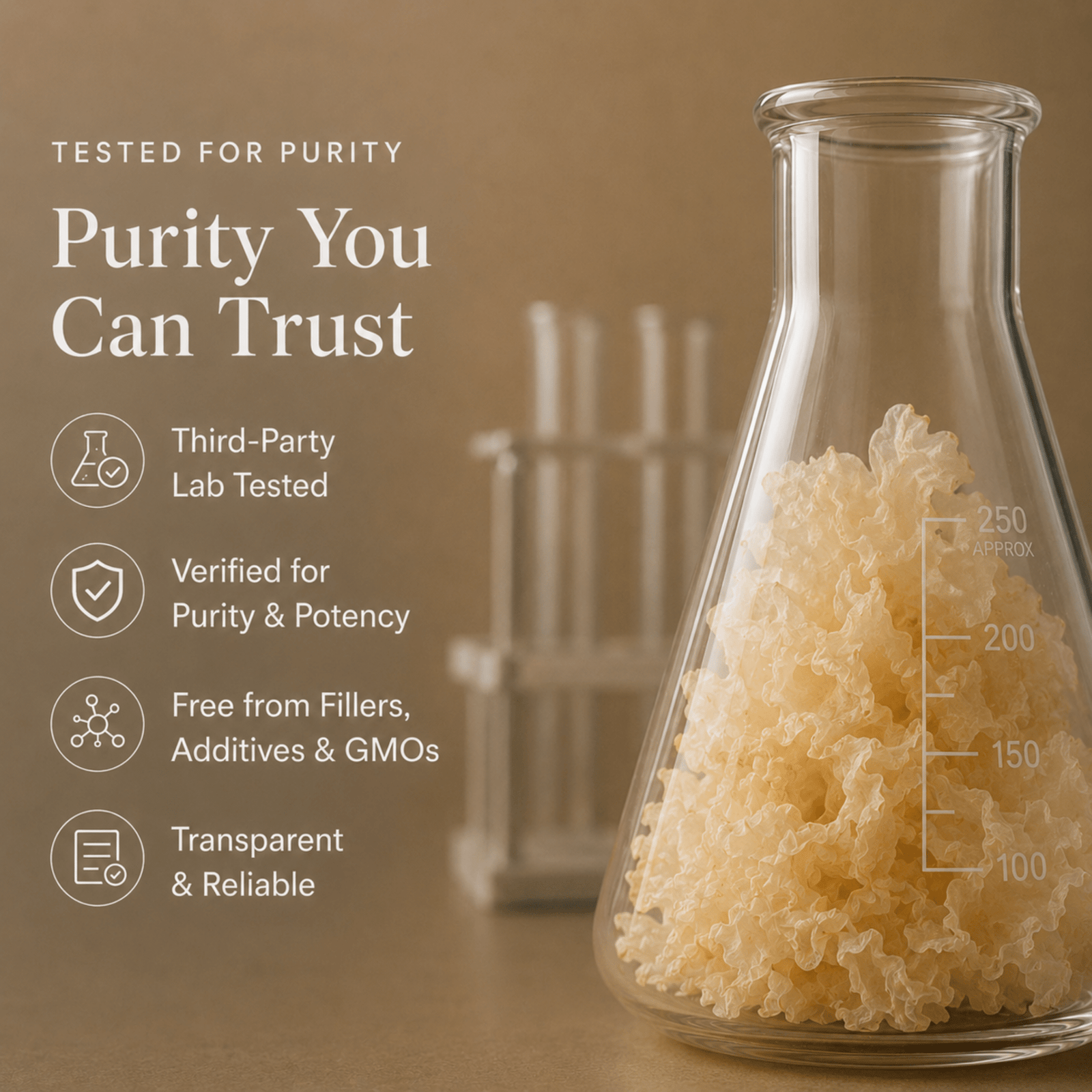 Tremella Mushroom Extract Powder - Ancient Extracts