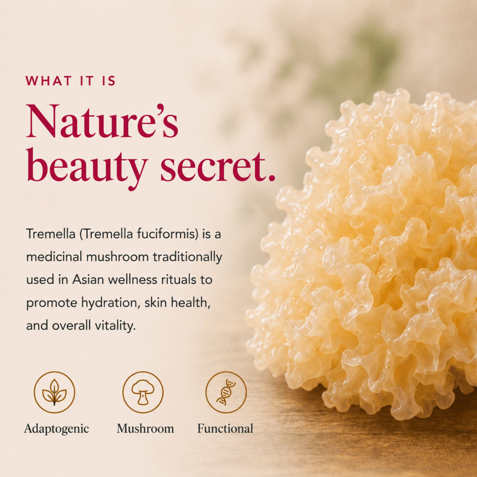 Tremella Mushroom Extract Powder - Ancient Extracts