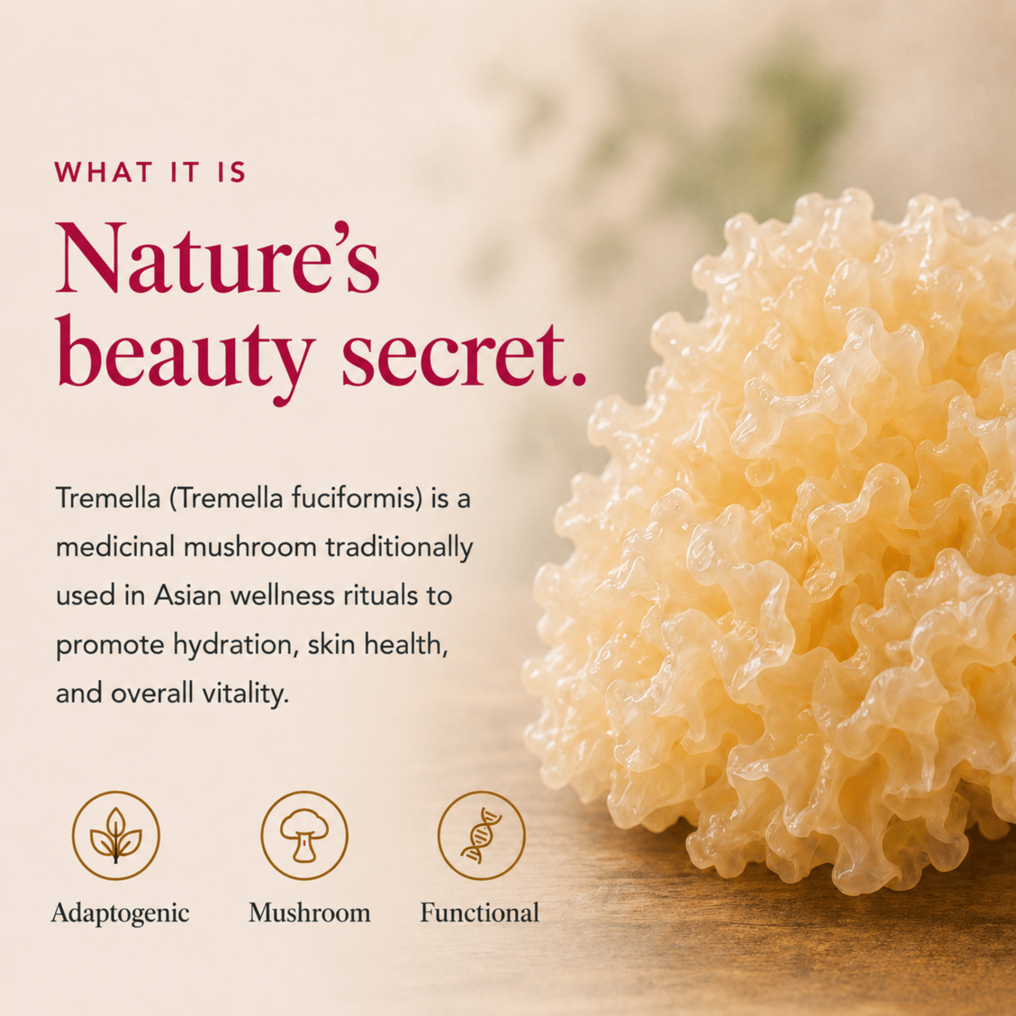 Tremella Mushroom Extract Powder - Ancient Extracts