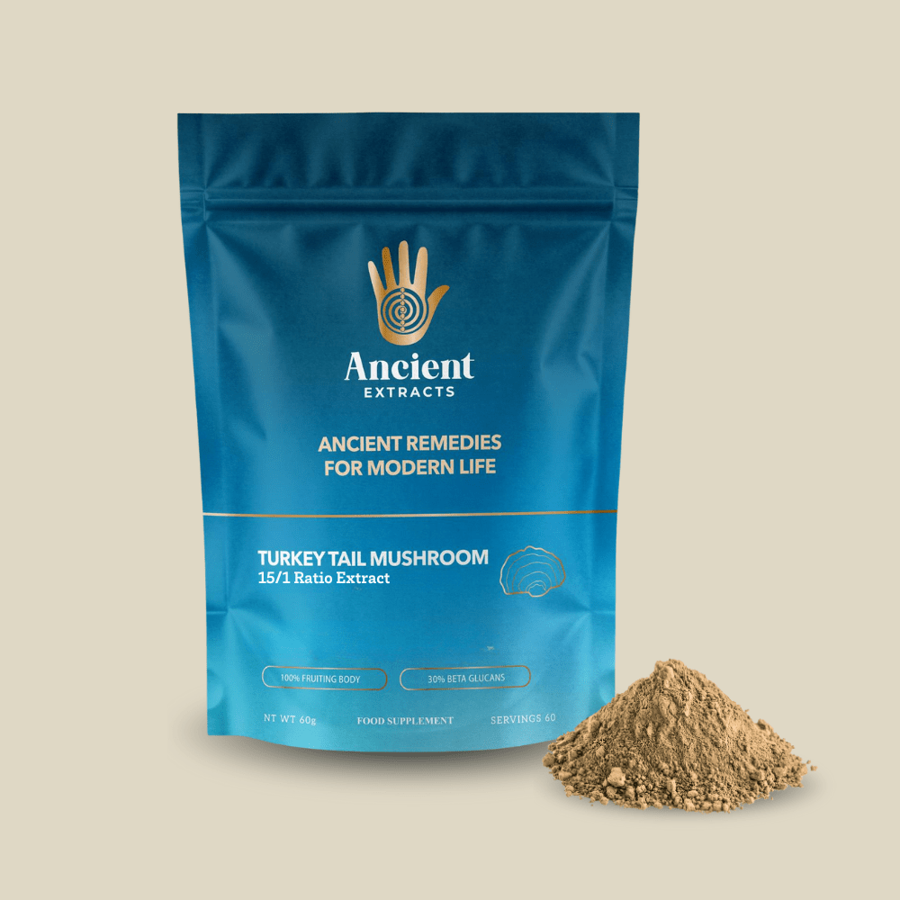 Turkey Tail Mushroom Extract Powder - 30% Beta-glucan (60g)