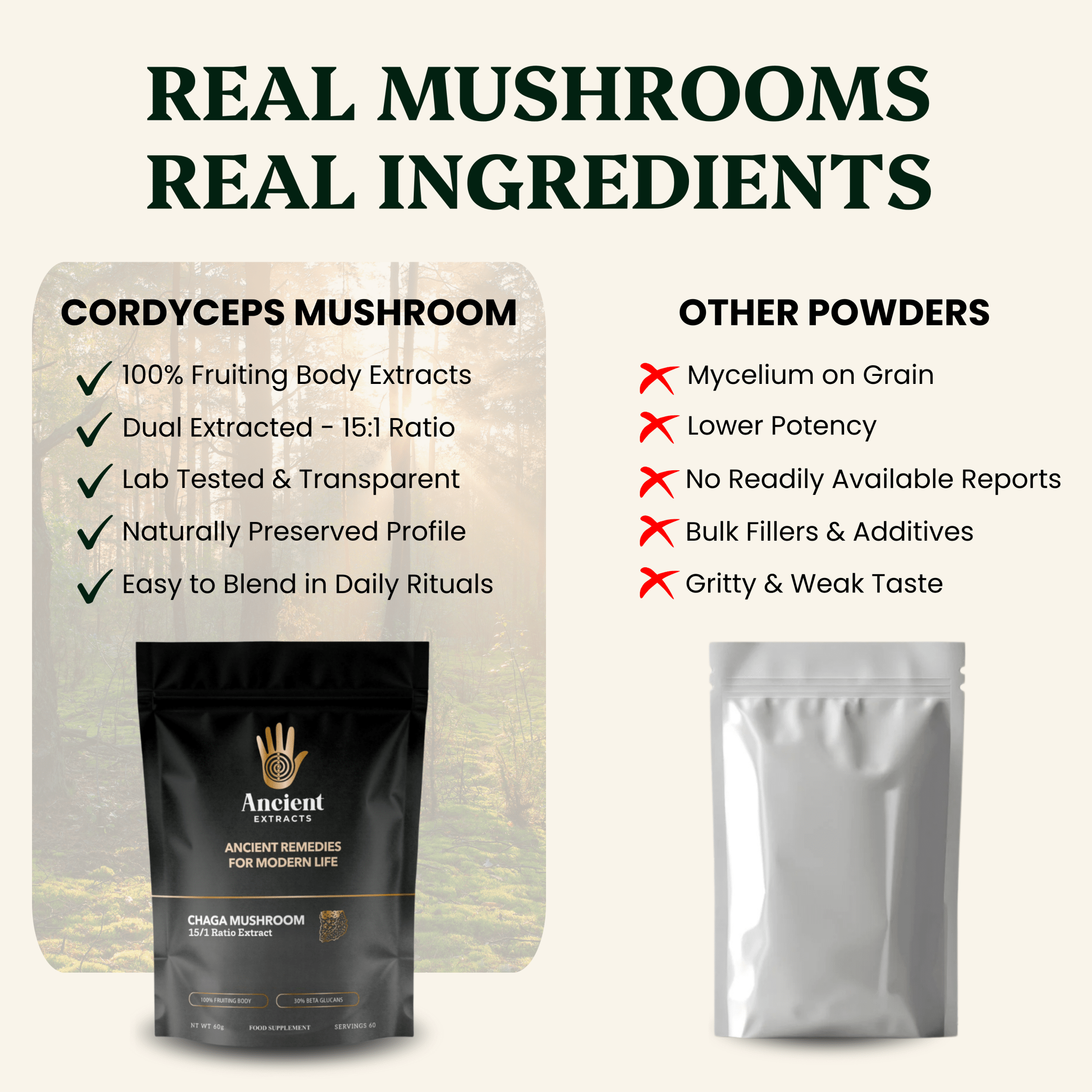 Chaga Mushroom Extract Powder - 30% Beta-glucan (60g)