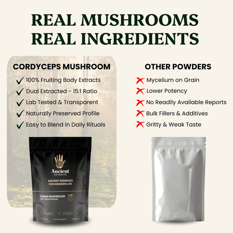 Chaga Mushroom Extract Powder - 30% Beta - glucan (60g) - Mushroom Extract - Ancient Extracts