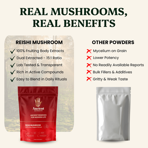 Reishi Mushroom Extract Powder - 30% Beta - glucan (60g) - Mushroom Extract - Ancient Extracts
