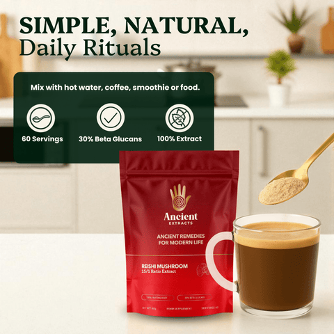 Reishi Mushroom Extract Powder - 30% Beta - glucan (60g) - Mushroom Extract - Ancient Extracts