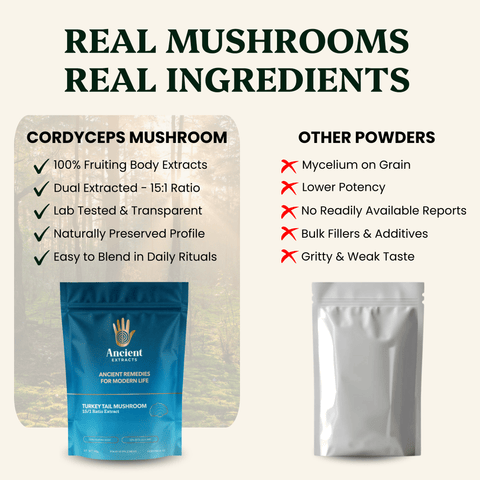 Turkey Tail Mushroom Extract Powder - 30% Beta-glucan (60g)