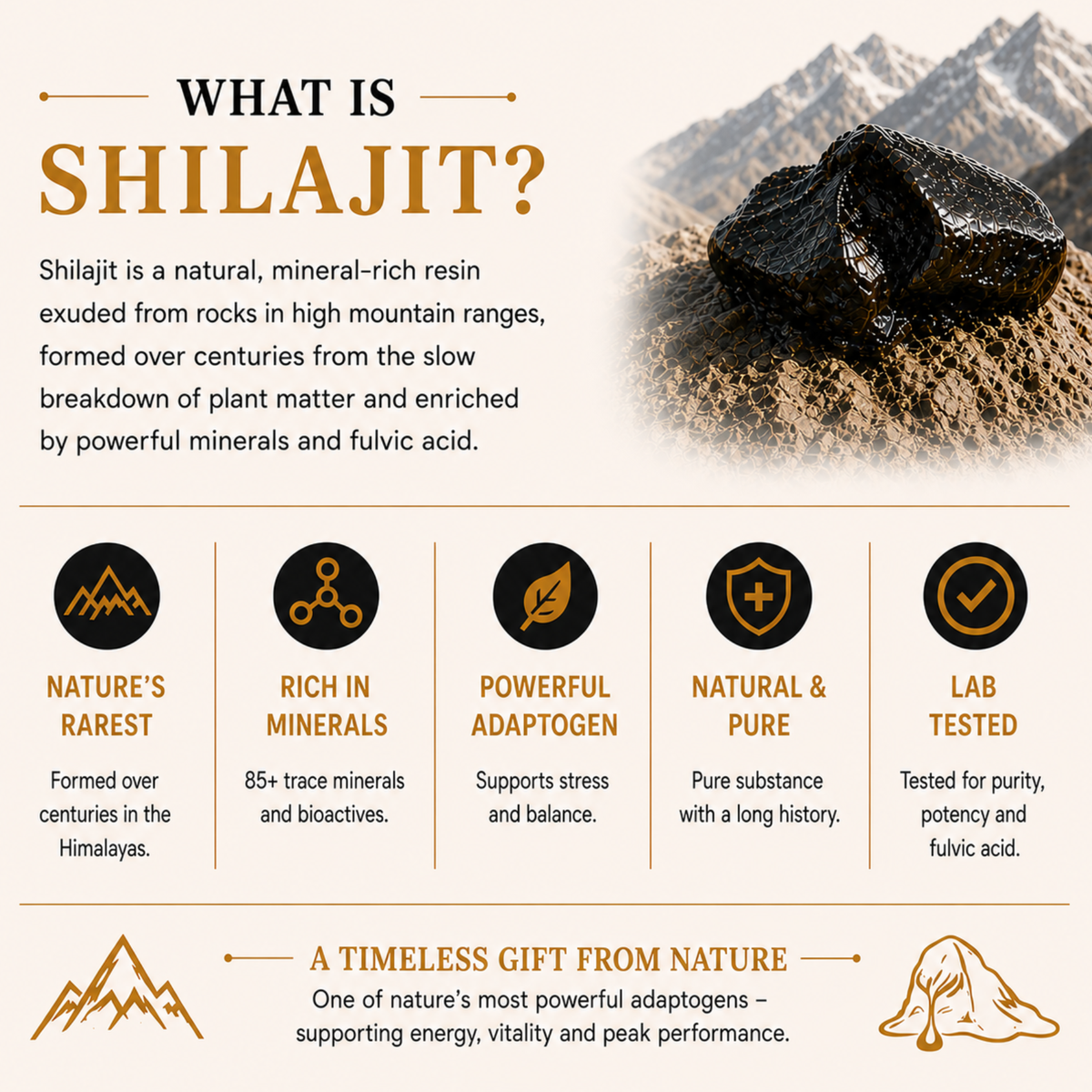 Himalayan Shilajit Resin