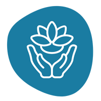 Your New Daily Ritual