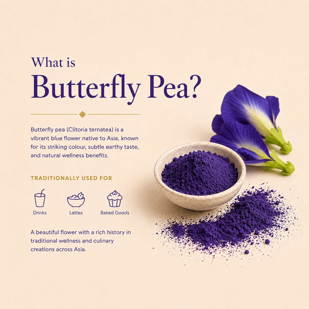 Ritual Grade Butterfly Pea Matcha Powder (Copy) - Matcha - Ancient Extracts