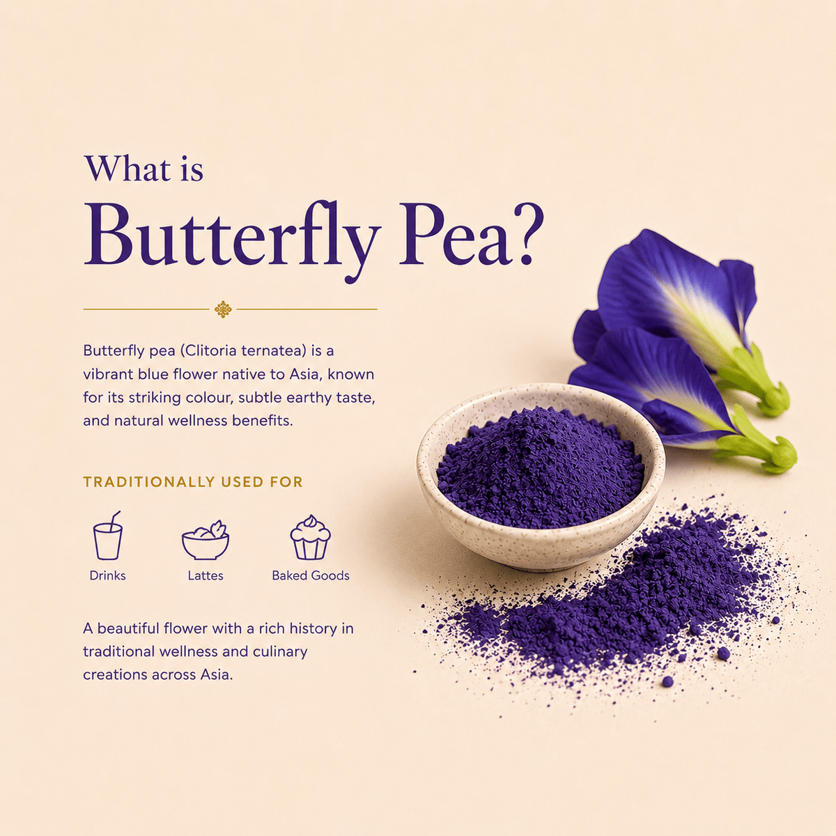 Ritual Grade Butterfly Pea Matcha Powder (Copy) - Matcha - Ancient Extracts