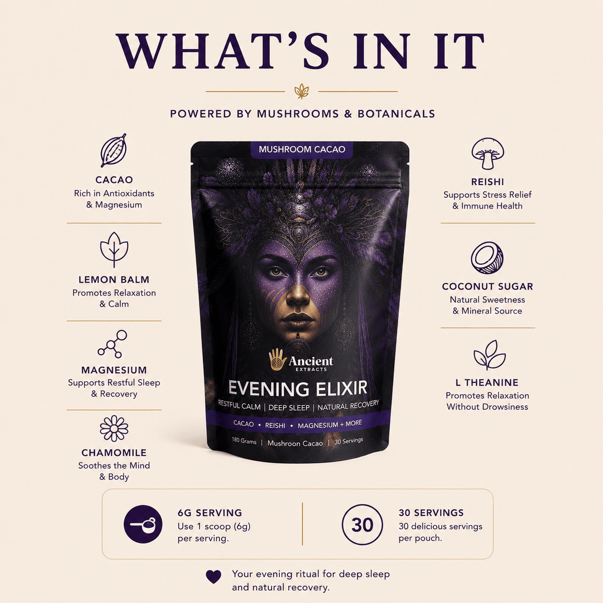 Evening Elixir Mushroom Cacao - Starter Kit (Copy) - Mushroom Extract - Ancient Extracts