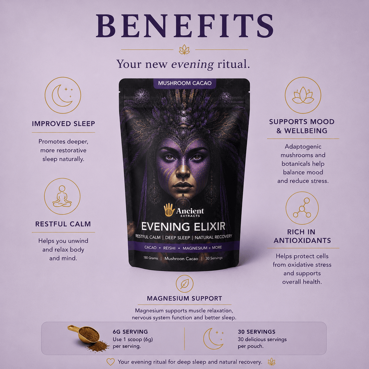 Evening Elixir Mushroom Cacao - Starter Kit (Copy) - Mushroom Extract - Ancient Extracts