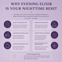 Evening Elixir Mushroom Cacao - Starter Kit (Copy) - Mushroom Extract - Ancient Extracts