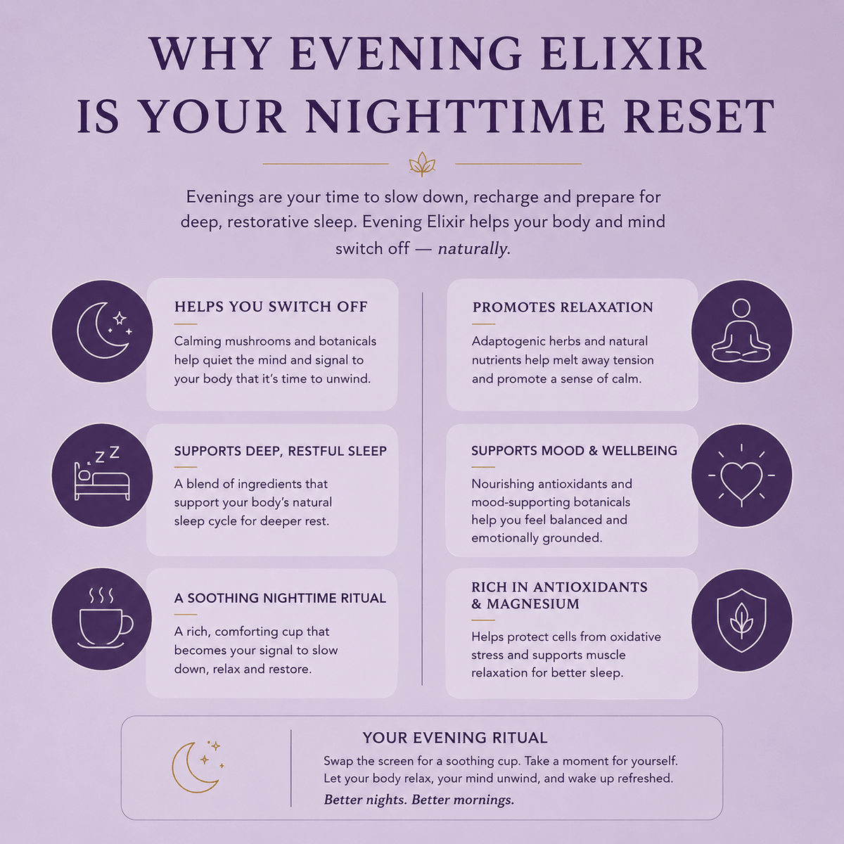 Evening Elixir Mushroom Cacao - Starter Kit (Copy) - Mushroom Extract - Ancient Extracts