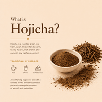 Ritual Grade Hojicha Powder (Copy) - Ancient Extracts
