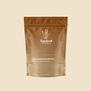Lion's Mane Mushroom Extract Powder