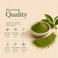 Ceremonial Grade Matcha (Copy) - Nutrition support - Ancient Extracts