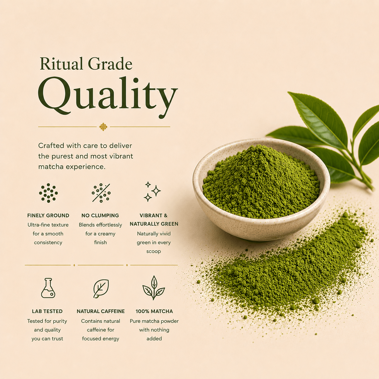 Ceremonial Grade Matcha (Copy) - Nutrition support - Ancient Extracts