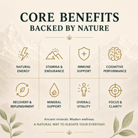 Core benefits of Ancient Extracts Pure Shilajit Resin including energy, focus, stamina and overall vitality