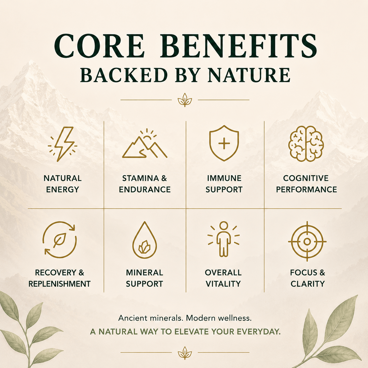 Core benefits of Ancient Extracts Pure Shilajit Resin including energy, focus, stamina and overall vitality